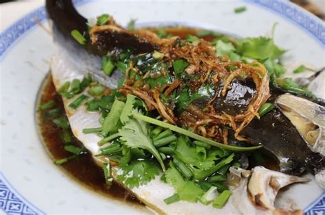 patin fish|Steam Patin Fish.